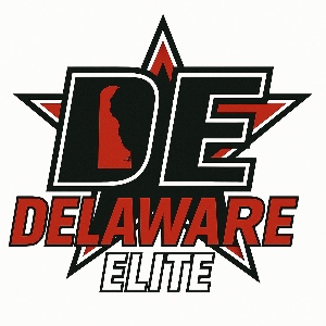 Delaware Elite Cheer